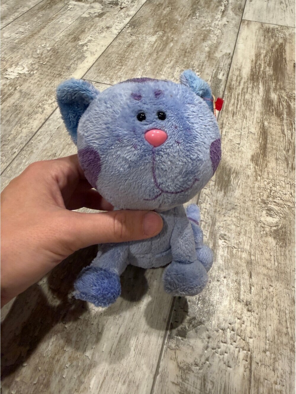 TY Periwinkle Blue's Clues 2005 Beanie Baby Cat w Tag